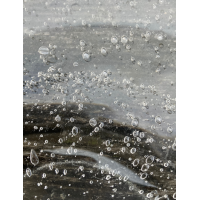 Siem van de Marel Avalon schaal